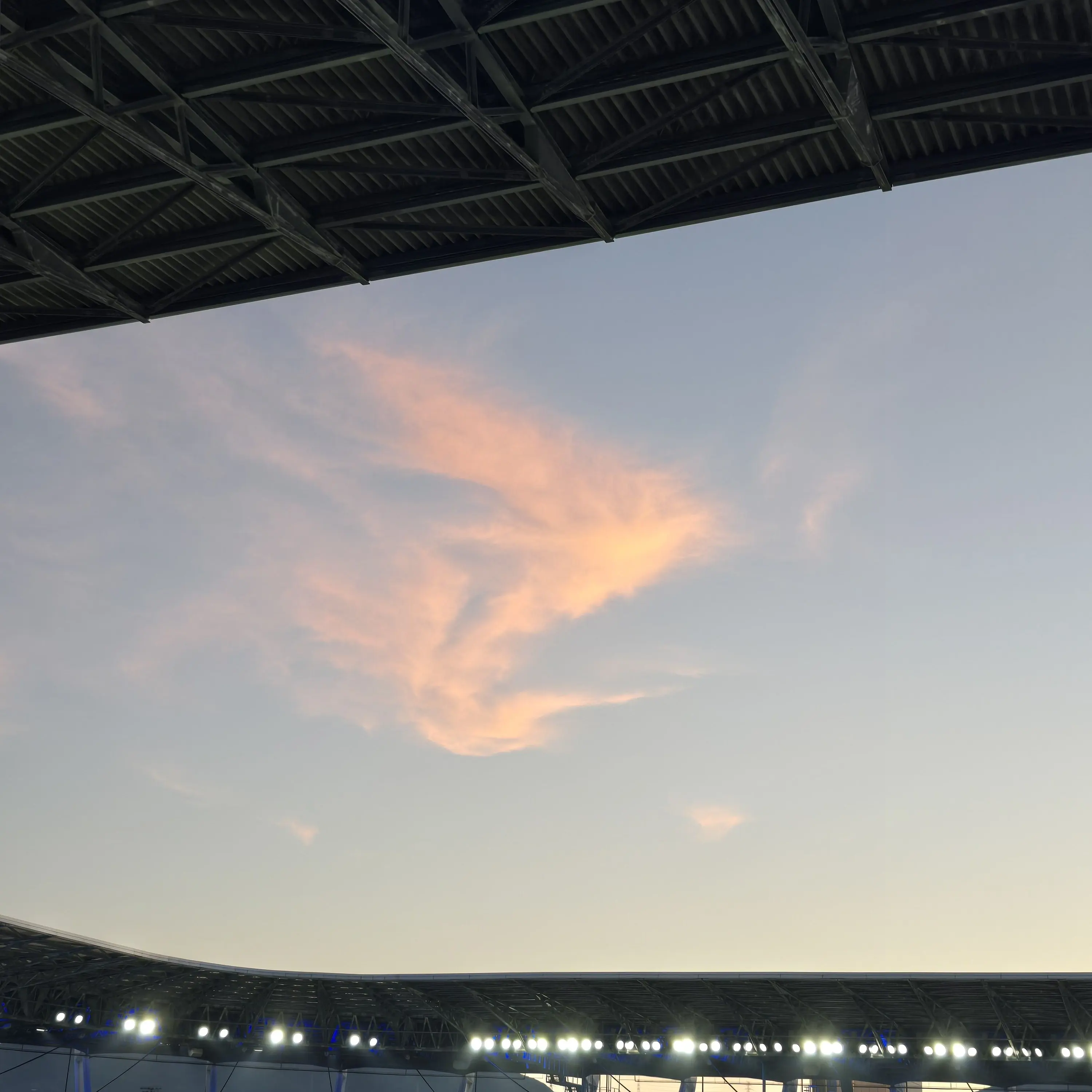 PlumClean0915의 대학교물인데 여우도 포함ㅎㅎ