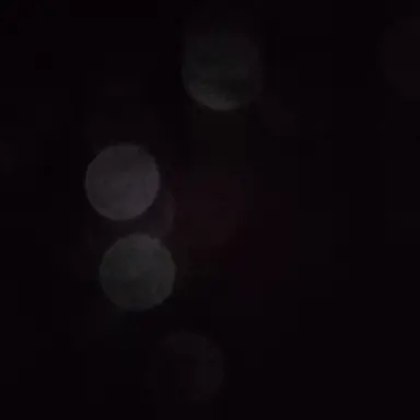 Profile image of 배진솔