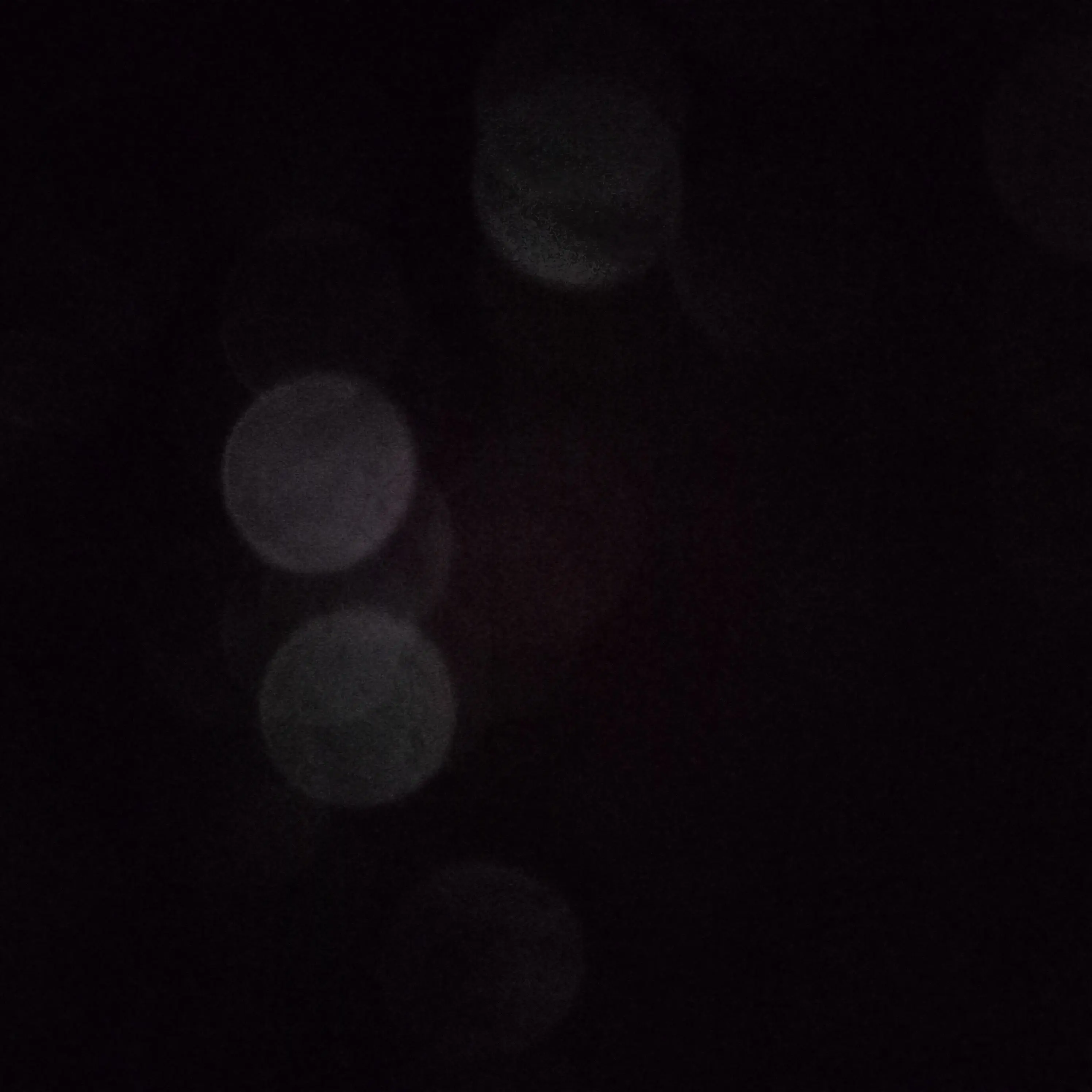 LeanFart3734의 선도부 배진솔