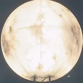 Profile image of 이연