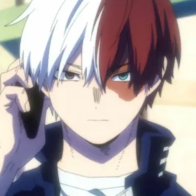Profile image of Shoto Todoroki