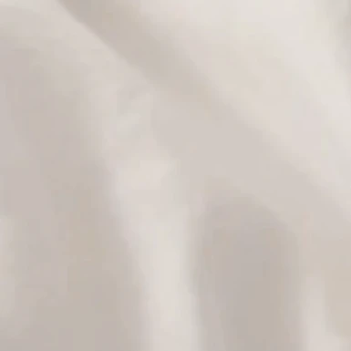 CHS