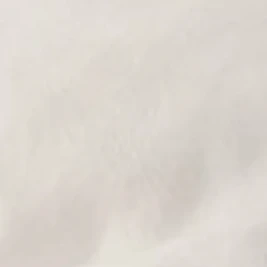 BSK