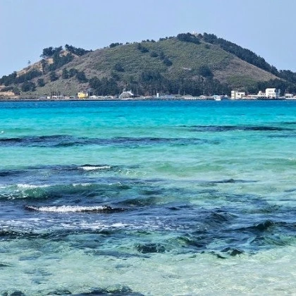 제주도 레이드