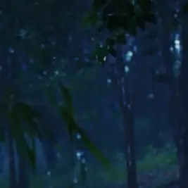 Profile image of 冬橋　航