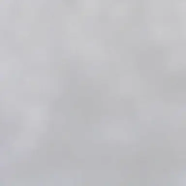 Profile image of 덴지