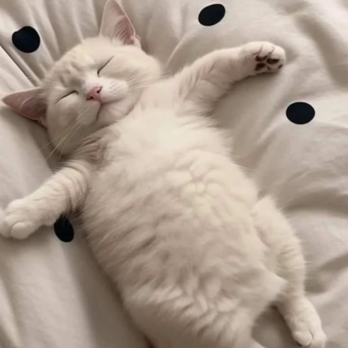 이민호