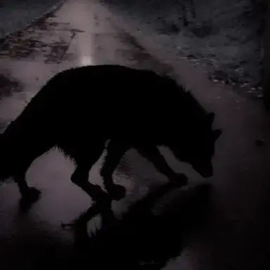 Profile image of Kaelan