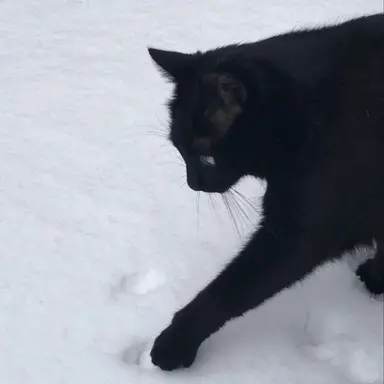 Profile image of 잭