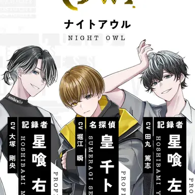 Profile image of ナイトアウル