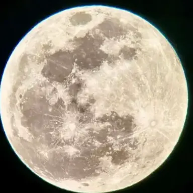 Profile image of デス