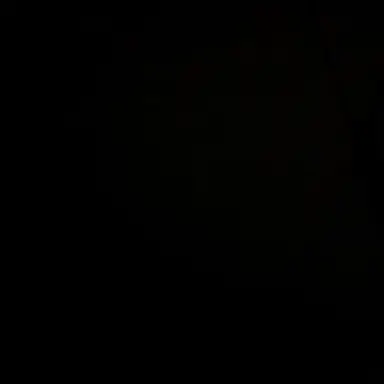 Profile image of 中国