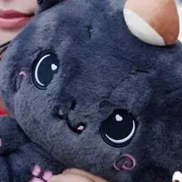 Profile image of 陸