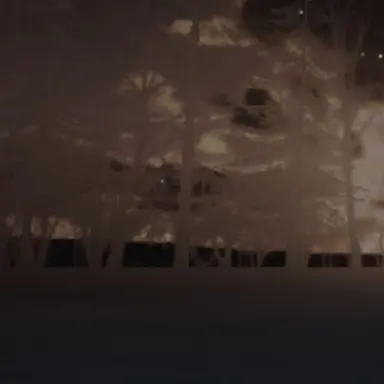 Profile image of 한지성