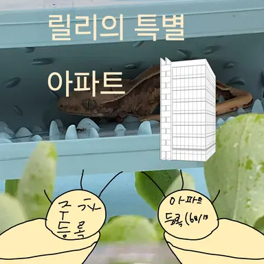 Profile image of 홍연서