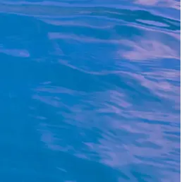 Profile image of 박준모