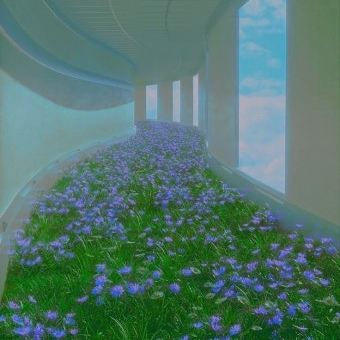 The Grass Corridor 대표 이미지