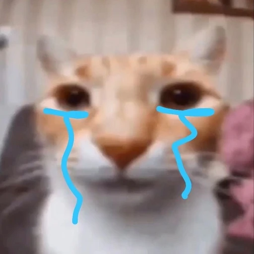개민이