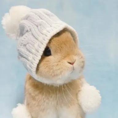 Profile image of 친동생