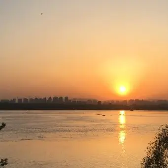 Profile image of 제미니