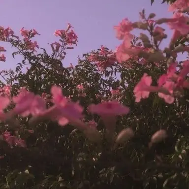 Profile image of 류