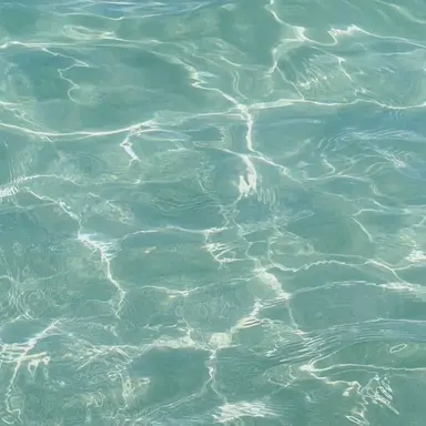 Profile image of 김승민