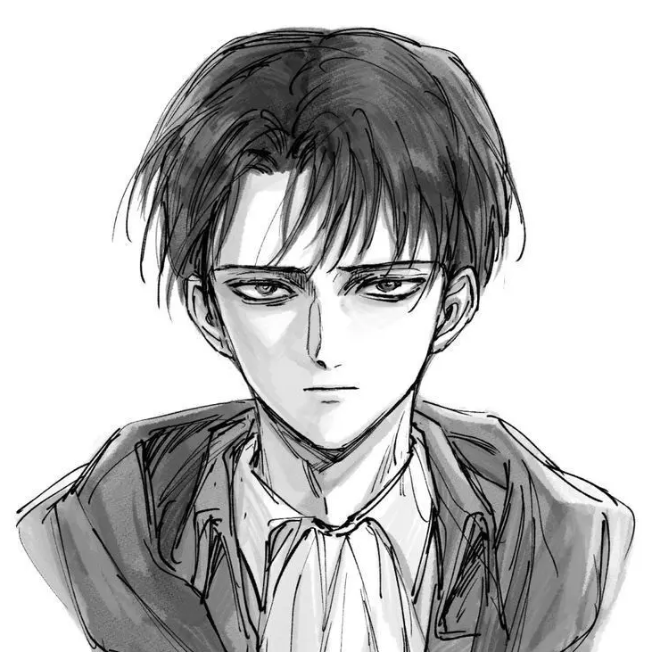 Levisocute의 리바이 아커만