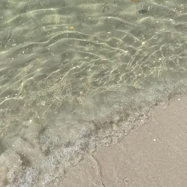 Profile image of 유지민