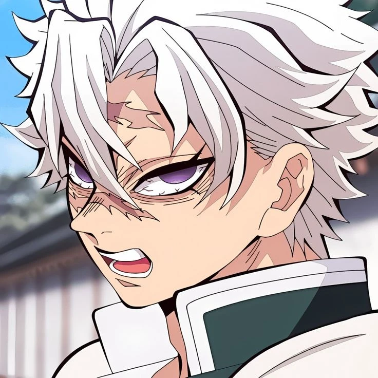 시나즈가와 사네미