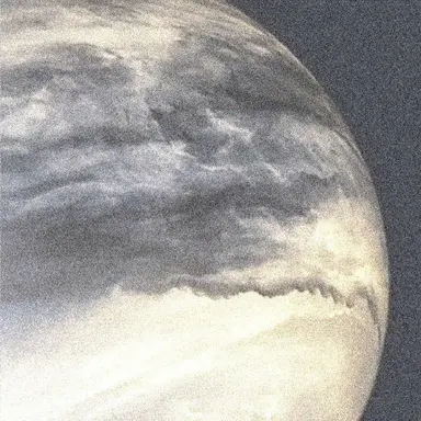 Profile image of 濱田永遠
