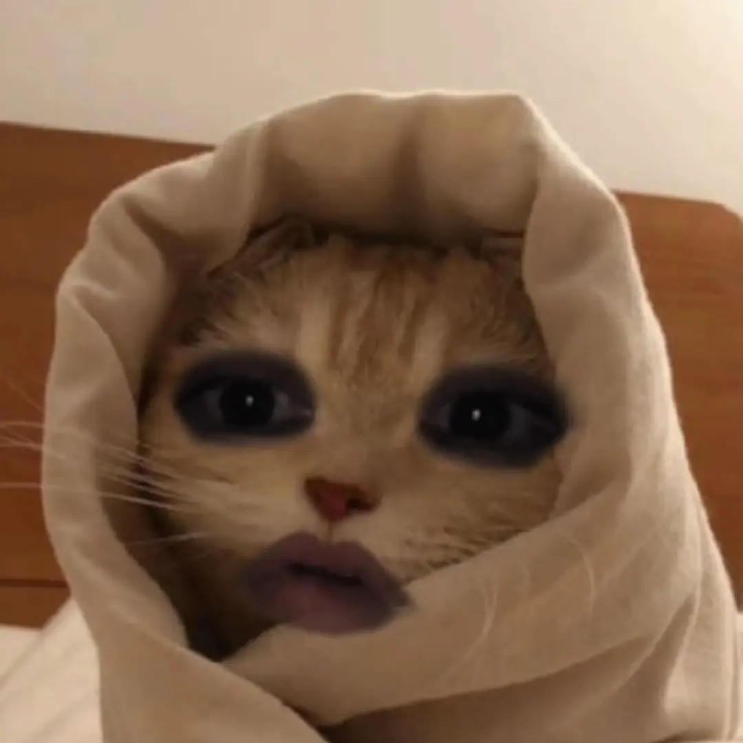SlimyChili2189의 미친고양이
