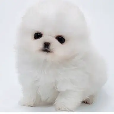 Profile image of 아무거나