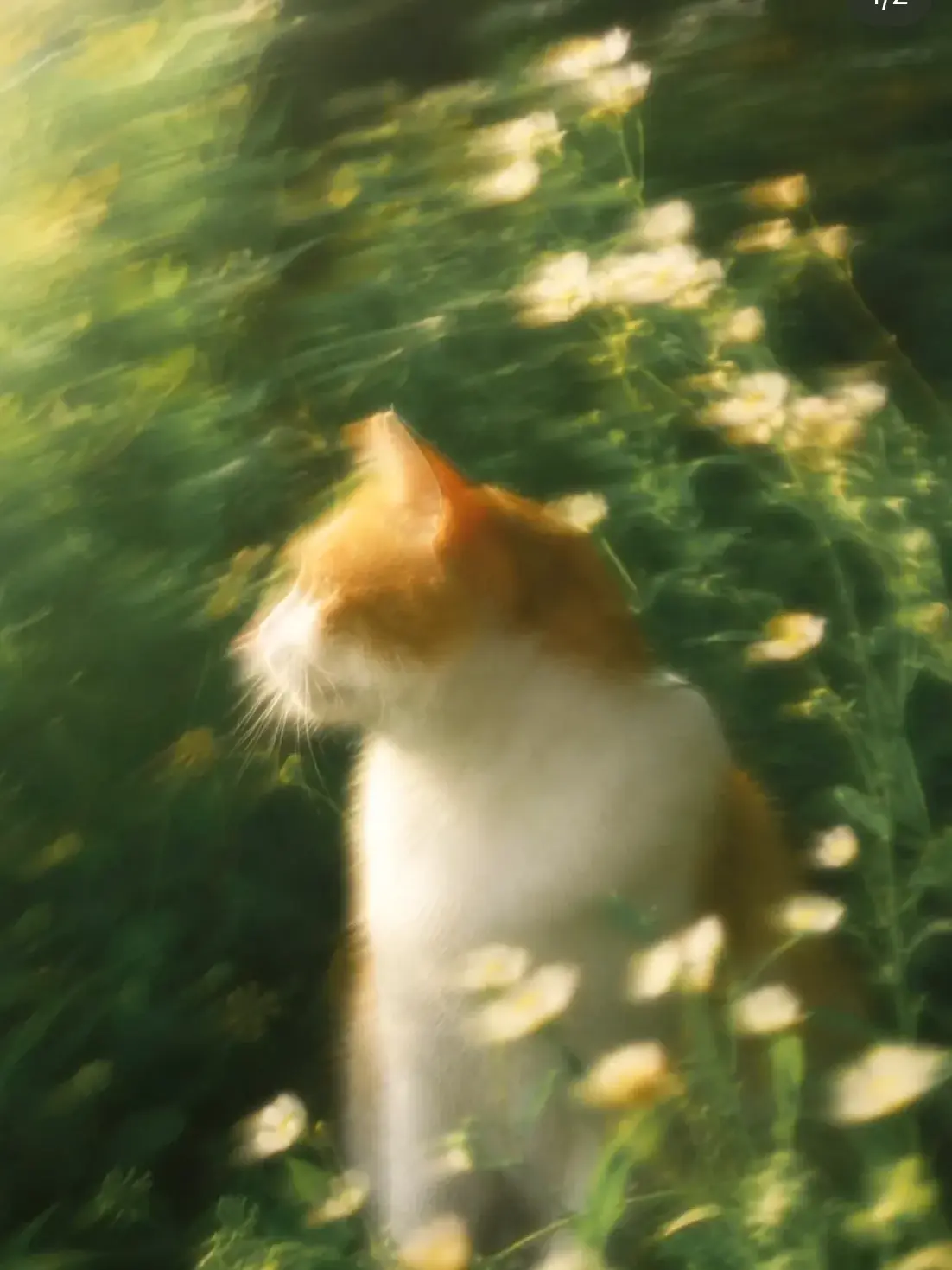 potadesunsun.의 こんな愛も悪くない