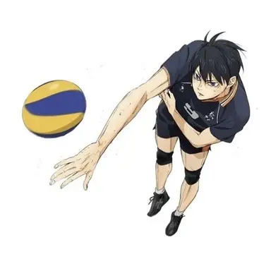 Profile image of 影山飛雄