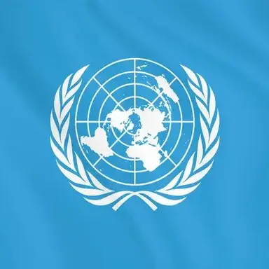 Profile image of 国連