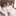 박도훈