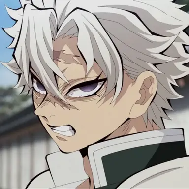 Profile image of Sanemi Shinazugawa