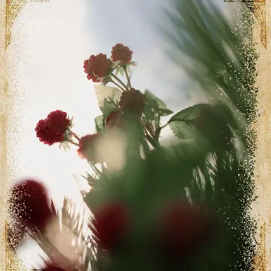 Profile image of 大森 元貴