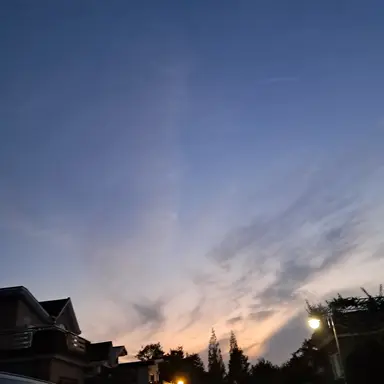 Profile image of 팀나빠