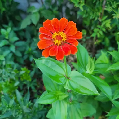 Profile image of 스펙터