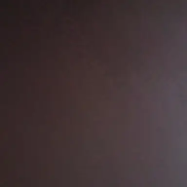 Profile image of 딜러