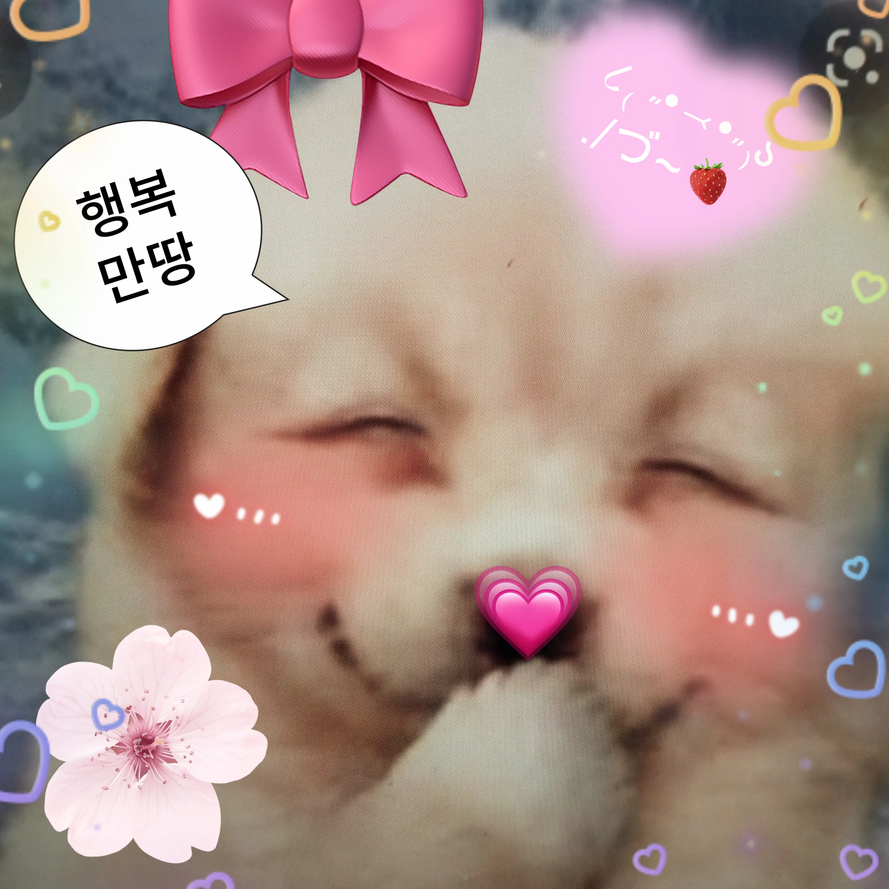 CattyCow8885의 박규현