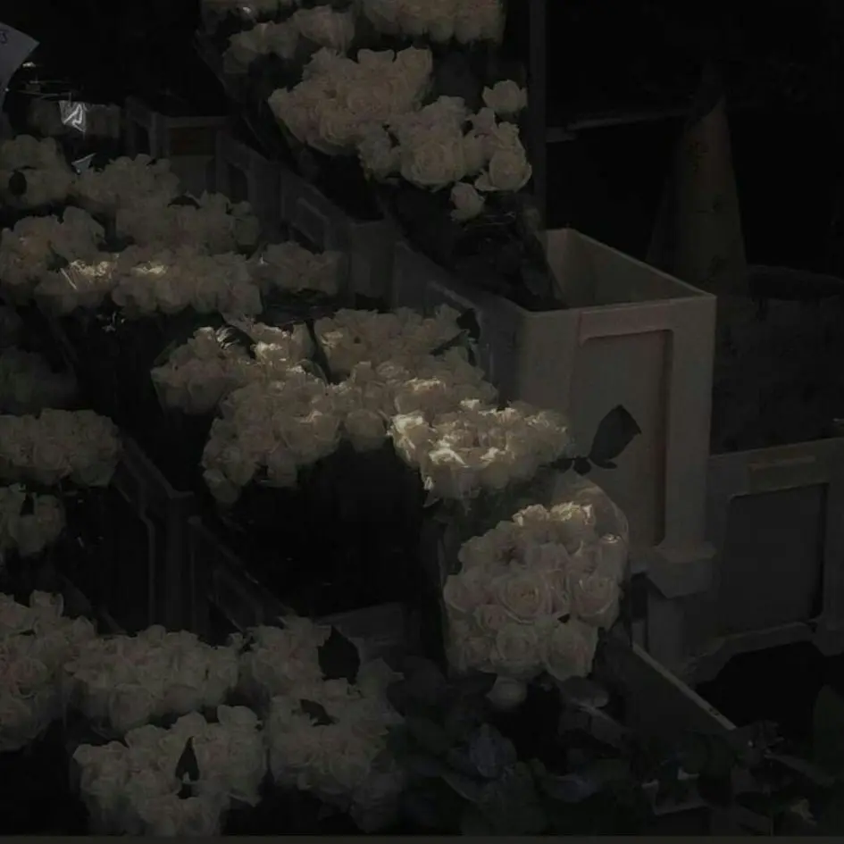 YJS103971의 곽연지