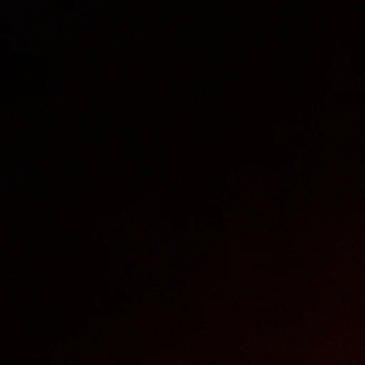 윤정핝
