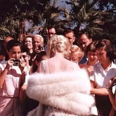 OddScale0940의 Celebrity Simulator