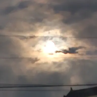 Profile image of 친구