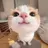 올망이