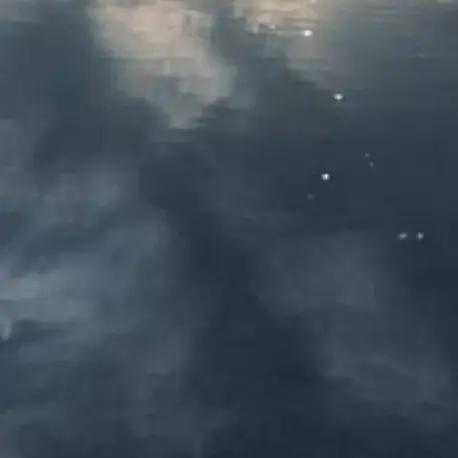 HandyApple9989의 同級生