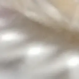 Profile image of 고고프렌즈