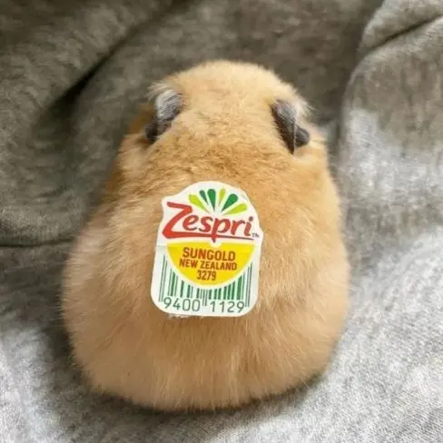 MightyDuvet9423의 먼지